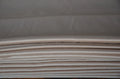 Tailor Shop Color-changing Silk Double Palace Fabric Mulberry Cloth Straight Skeleton Raw Silk
